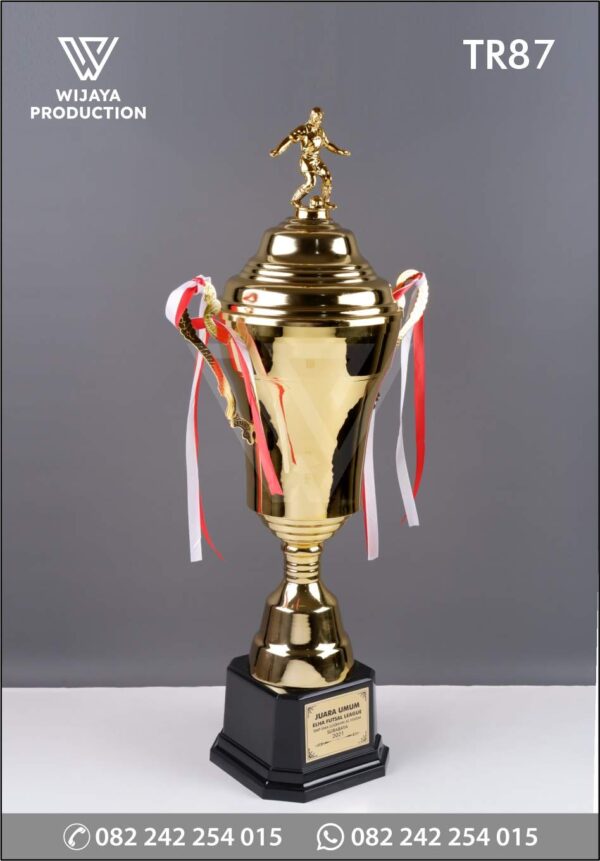 Piala Juara Umum ELHA Futsal League
