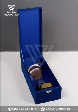 TR169 Piala Juara Tingkat Nasional Bkkbn