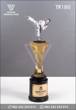 TR180 Piala Juara Umum Open Tournament Karate